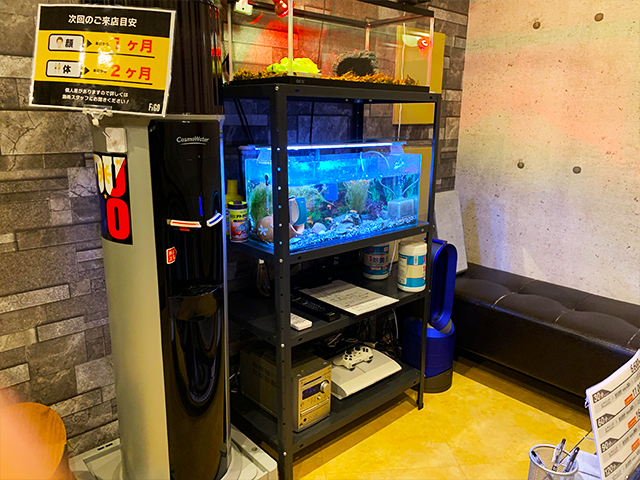 【都度払い】東京・新宿のメンズフェイシャルエステならフィーゴビューティー新宿店　店内写真　熱帯魚